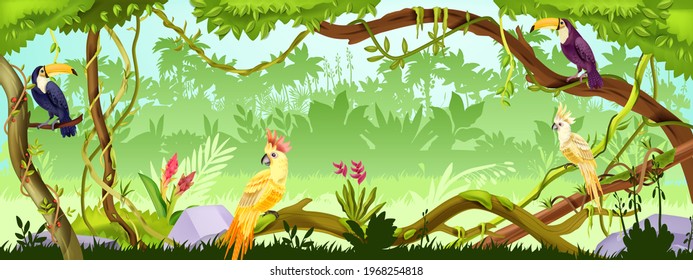 Jungle forest vector nature background, wood exotic landscape, green liana, parrot, toucan, trees, thicket. Amazon tropical paradise environment, summer illustration. Jungle forest horizontal banner