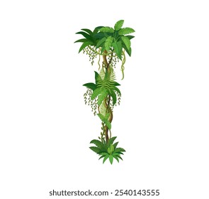 Jungle forest vertical liana, vine branch. Amazon rain forest jungle vine twig isolated cartoon vector floral line, African jungle creeper plant or tropical rainforest nature liana botanical border