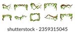 Jungle frames. Green vine. Tree foliage. Rainforest liana. Cartoon plants. Creeper branch. Grass and wood leaf signs. Botany texture. Wild greenery. Vector forest game elements set