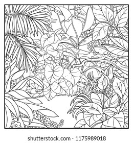 Jungle glade in thickets black contour line drawing for coloring on a white background