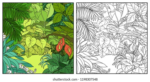 Jungle glade in thickets color and black contour line drawing for coloring on a white background