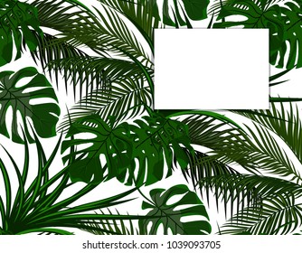 Jungle. Green leaves of tropical palm trees, monstera, agave. Drops of dew, rain. Isolated on white background. Vector illustration