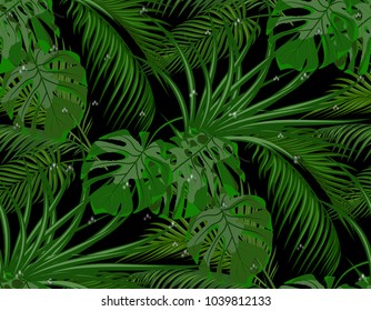Jungle. Green leaves of tropical palm trees, monstera, agave. Drops of dew, rain. Seamless. Isolated on black background. Vector illustration