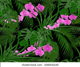 Jungle. Green leaves of tropical palms, monstera, agaves. Purple orchids. Drops of dew, rain. Seamless. Isolated on black background. Vector illustration