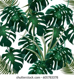Jungle. Green thickets of tropical palm leaves and monstera. Seamless floral pattern. Isolated on a white background. Vector illustration