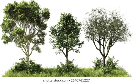 Jungle greenery isolated trees, meadows, die trees, grass fields, nature landscape, tropical forest, lush greenery, outdoor scenery, wildlife habitat, natural environment