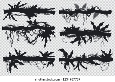 Jungle hanging lianas and vines on a branch. Vector black silhouette set isolated on transparent background.