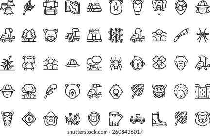 Jungle icons High-Quality Vector Icons Collection with Editable Stroke. Ideal for Professional and Creative Projects