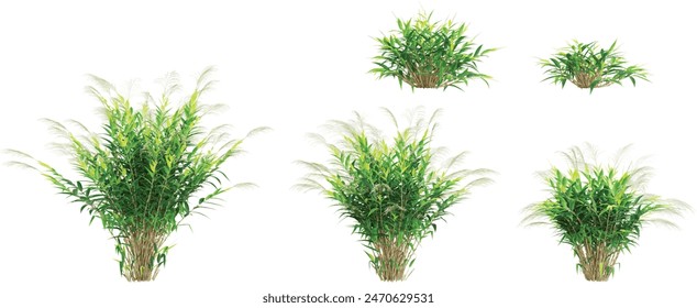 Jungle Italian Ruscus Greenery trees shapes cutout 3d render