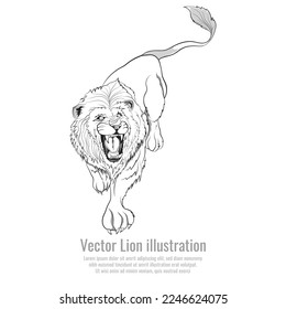 The jungle king vector drawing, Vector illustration of a predator, Wildlife line art of an animal