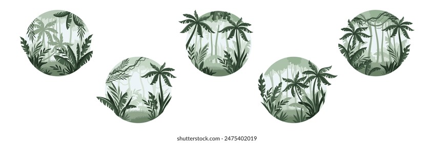 Jungle Landscape with Palm Trees in Mist in Round Shape Vector Set