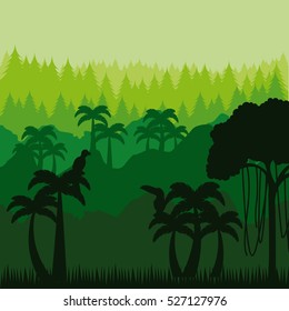 jungle landscape with palms and birds. colorful design. brazilian culture concept. vector illustration