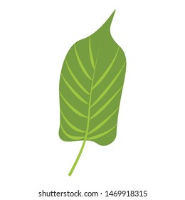 Jungle leaf icon. Cartoon of jungle leaf vector icon for web design isolated on white background