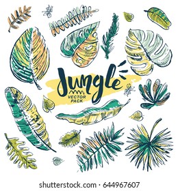 Jungle leafs design elements hand drawn color