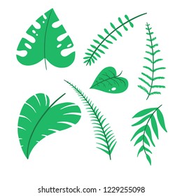 Jungle Leafs Handdrawn Collection 