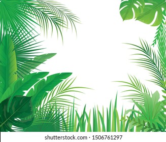 jungle leave on white background vector design