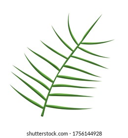 Jungle leave vector image. Forest nature plants vector. Isolated element for design concept. Beautifull jungle leave and plant for decor of wedding invitation or gift cards. 