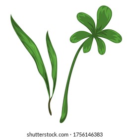 Jungle leave vector image. Forest nature plant vector. Isolated element for design concept. Beautifull jungle leave and plant for decor of wedding invitation or gift cards. 