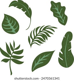 Jungle leaves. Cartoon different tropical plants. Palm, banana, monstera. Botanical green foliage elements. Summer paradise exotic leaf on white background. Vector set	