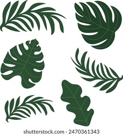 Jungle leaves. Cartoon different tropical plants. Palm, banana, monstera. Botanical green foliage elements. Summer paradise exotic leaf on white background. Vector set	