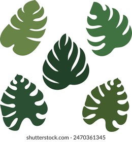 Jungle leaves. Cartoon different tropical plants. Palm, banana, monstera. Botanical green foliage elements. Summer paradise exotic leaf on white background. Vector set	