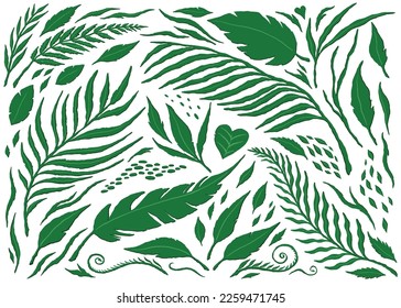 Jungle leaves collection set. Vector Illustration