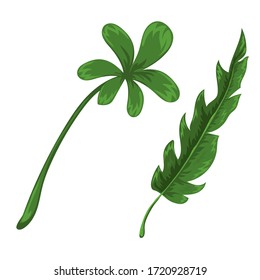 Jungle leaves and flowers vector set. Forest nature plants vector collection. Isolated elements for design concept. Beautifull jungle leaves and plants for decor of wedding invitation or gift cards. 