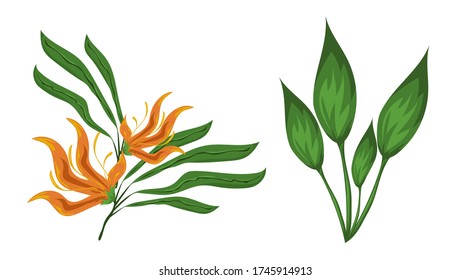Jungle leaves and flowers vector set. Forest nature plants vector collection. Isolated elements for design concept. Beautifull jungle leaves and plants for decor of wedding invitation or gift cards. 