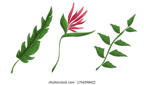 Dschungelblätter und Blumen, Vektorset. Wald-Naturpflanzen Vektorgrafik. Einzeln Elemente für das Design-Konzept. Schöne Dschungelblätter und Pflanzen für die Dekoration der Hochzeitseinladung oder Geschenkkarten. 