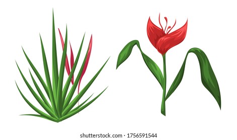 Jungle leaves and flowers vector set. Forest nature plants vector collection. Isolated elements for design concept. Beautifull jungle leaves and plants for decor of wedding invitation or gift cards. 