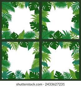 Jungle leaves frames. Cartoon tropical leaf background with foliage elements. Summer nature palm plants for poster, cards on white background. Vector collection. Square botanical borders