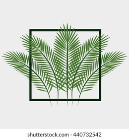 diseño de icono aislado de hojas de la jungla, ilustración vectorial 