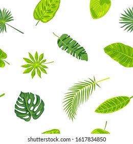 Jungle leaves seamless pattern. Vector illustration.