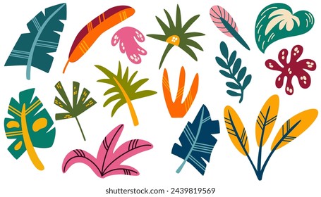 Jungle leaves set. Cartoon different tropical plants. Palm, banana, monstera. Botanical foliage elements. Summer paradise exotic leaf on white background. Vector hand draw illustration