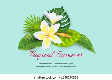 Jungle leaves with tropical flower plumeria. Hello summer banner. Place for text. Vector illustration for web, SPA flyer, poster, sale, party invitation, beauty offer, wedding, bridal shower.