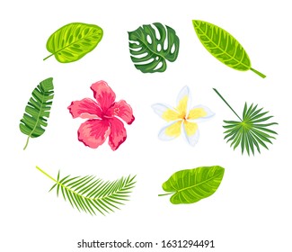 Jungle leaves and tropical flowers vector set. Design elements isolated on white background.