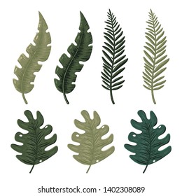 Jungle leaves vector cartoon set isolated on a white background.