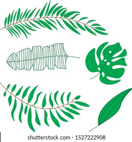 Jungle leaves. Vector icon of five leaves.