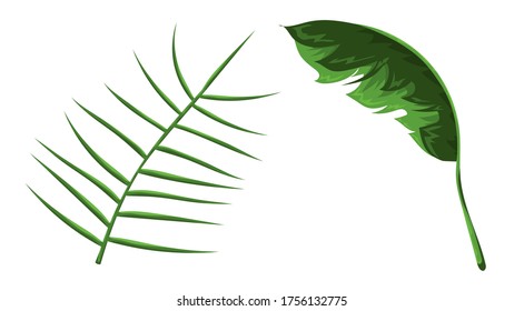 Jungle leaves vector image. Forest nature plants vector collection. Isolated elements for design concept. Beautifull jungle leaves and plants for decor of wedding invitation or gift cards. 