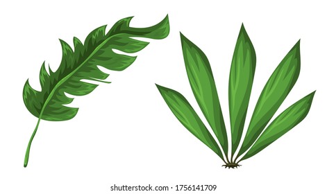 Jungle leaves vector image. Forest nature plants vector collection. Isolated elements for design concept. Beautifull jungle leaves and plants for decor of wedding invitation or gift cards. 