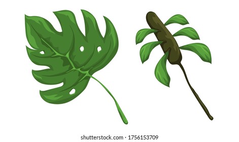 Jungle leaves vector set. Forest nature plants vector collection. Isolated elements for design concept. Beautifull jungle leaves and plants for decor of wedding invitation or gift cards. 