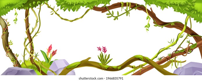 Jungle liana branch, vector vine plant tree frame, tropical vegetation, botanical background with climber. Nature exotic forest, trunk, stones, paradise flowers. Jungle liana environment illustration