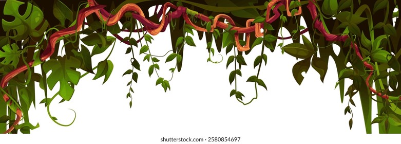 Jungle liana frame - horizontal border with twisted vines, hanging monstera leaves and tropical foliage. Natural rainforest canopy design with curved stems and climbing plants. Decorative header.