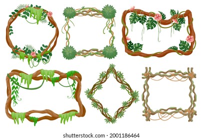 Jungle liana frames. Rainforest branches with moss, vines tropical leaves and exotic flowers round and square frame vector set. Frame environment, foliage wildlife tropic vegetation illustration