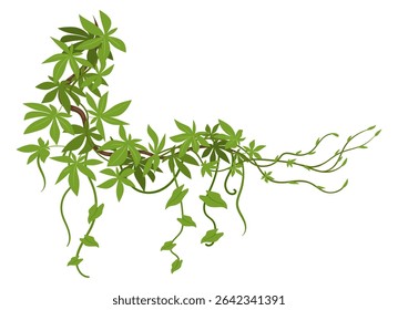 Jungle liana plants. Rainforest liana vines, tropical climbing ivy creepers, exotic ivy creeper flat vector illustration. Cartoon evergreen climbing plant