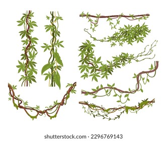 Jungle liana plants. Tropical climbing creepers, cartoon exotic creeper. Rainforest liana vines flat vector illustration set