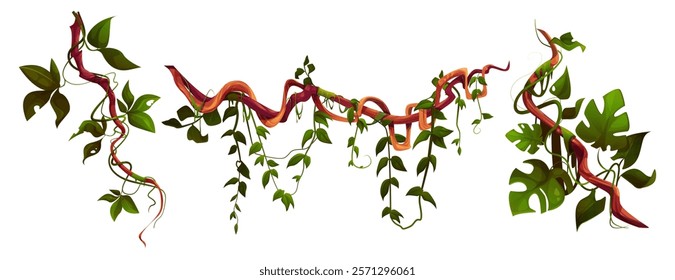 Jungle liana set with twisted vine stems, thick branches and tropical monstera, hanging green leaves of climbing plant. Exotic rainforest flora decorative elements for natural botanical or game design