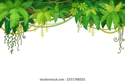 Jungle liana and tropical vines with rainforest plant branches frame, vector background. Tropical liana or ivy branches with monstera leaves, creeper plant branches hanging on white blank background