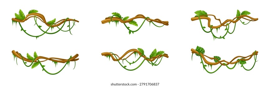 Jungle liana vines with tree branches and tropical plants. Vector cartoon frames of forest ivy, game borders, creeper elements and decorative leaves for rainforest backgrounds and wild designs.