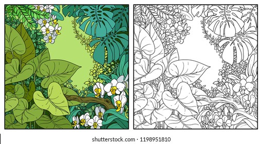 Jungle with lianas color and black contour line drawing for coloring on a white background